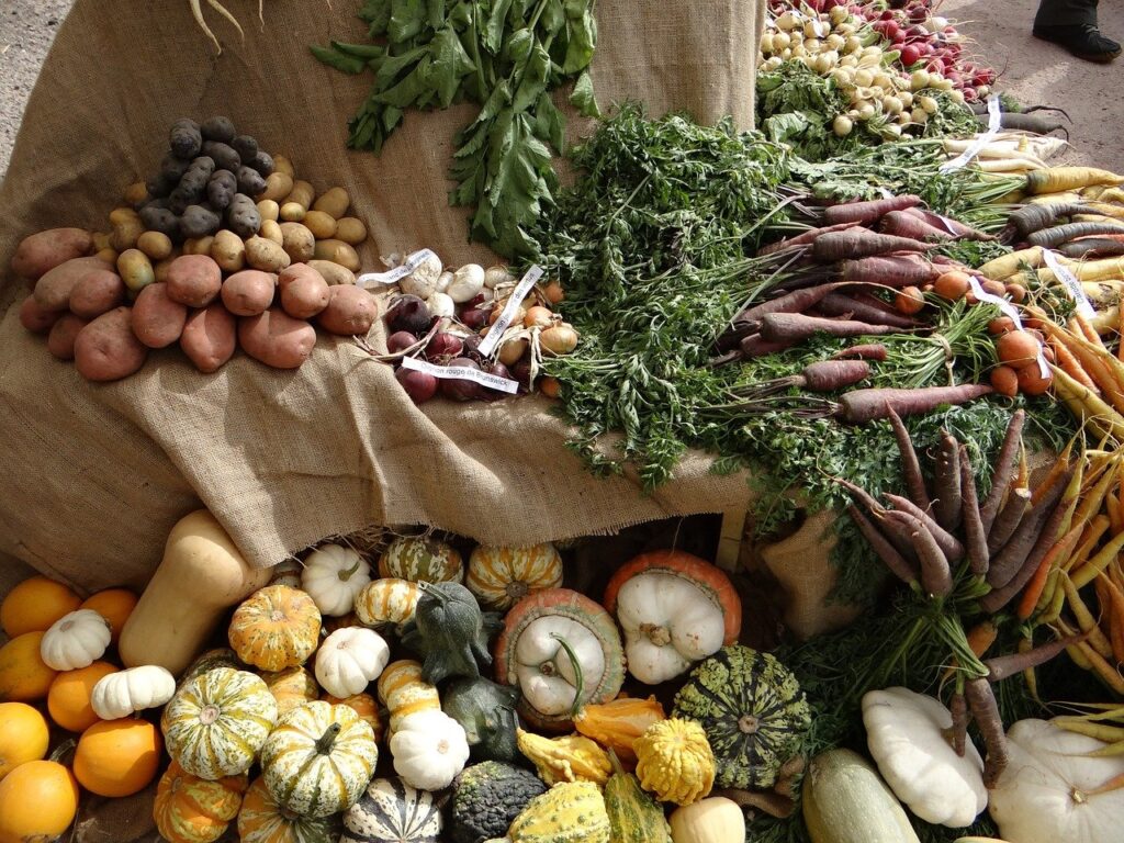 vegetables, old vegetables, etal
